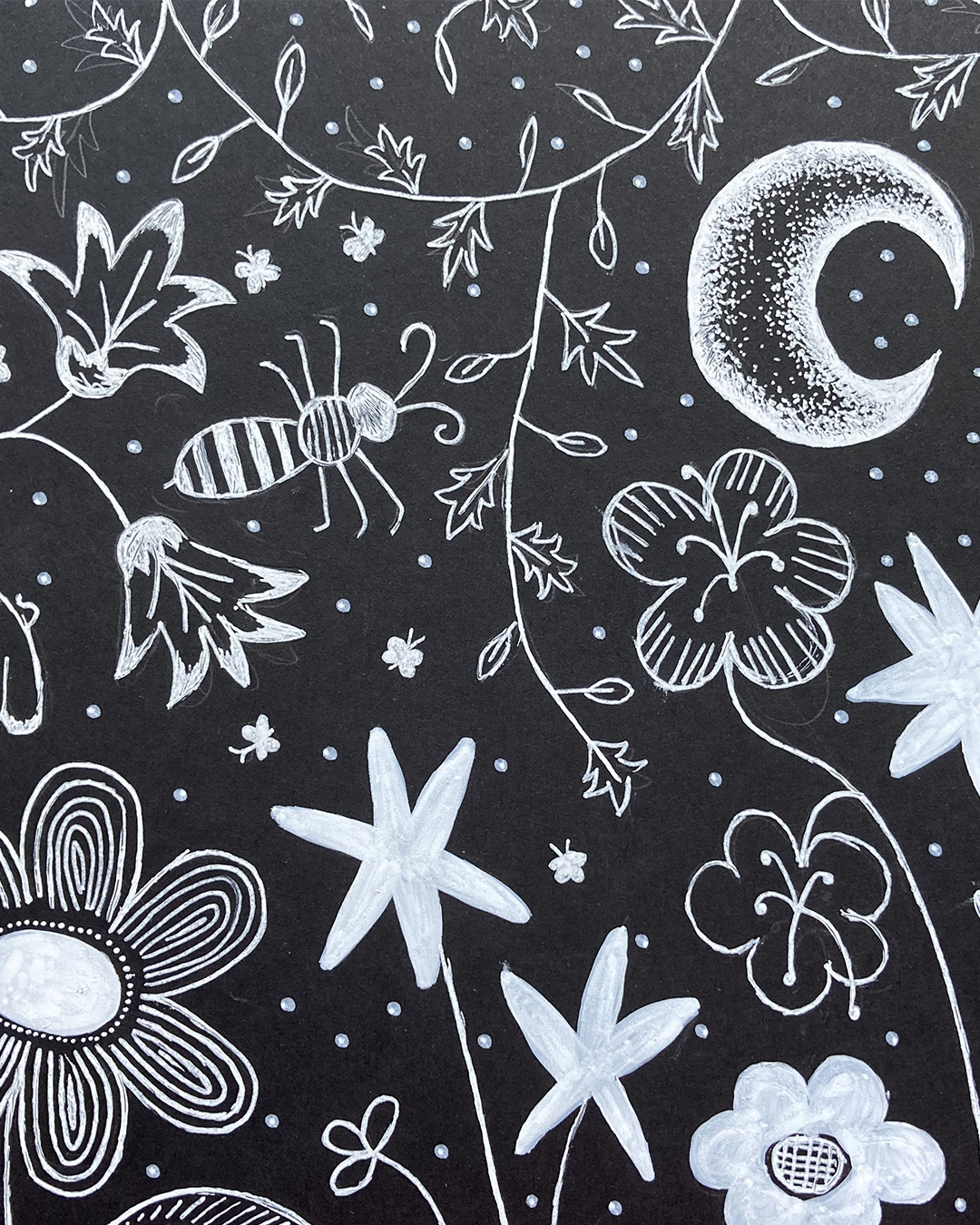 8.Nature by night